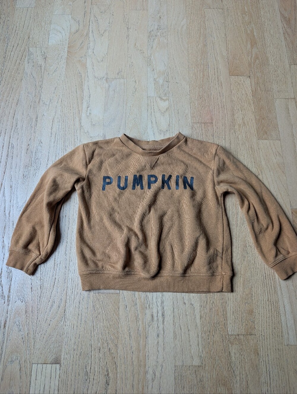 Little Co. Pumpkin Graphic Pullover Sweatshirt - Tan